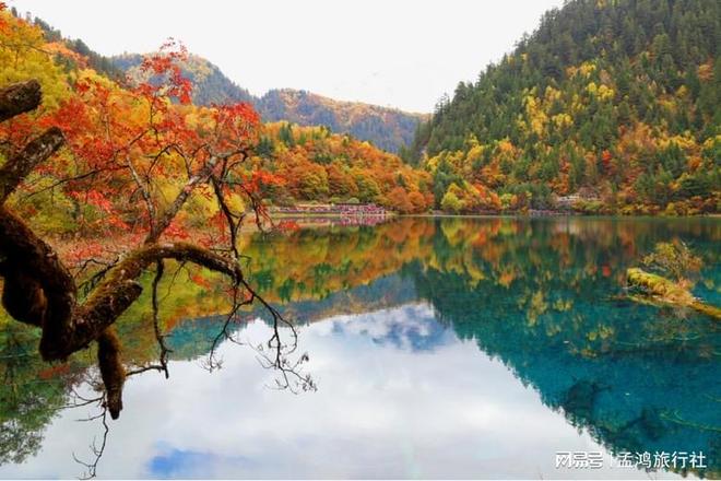 成都定制游公司 TOP8｜路线%九游会J9入口「10 月更新